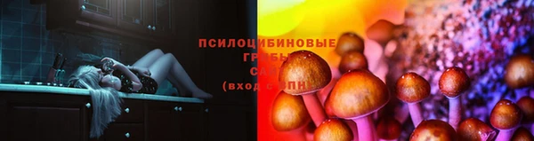 наркотики Ельня